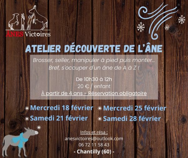 Atelier découverte de l’âne à Chantilly