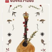 Soirée fado au restaurant Alma à Chantilly