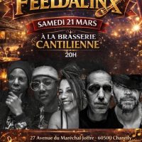 Concert du groupe « Feeldalinx » à la Brasserie Cantilienne