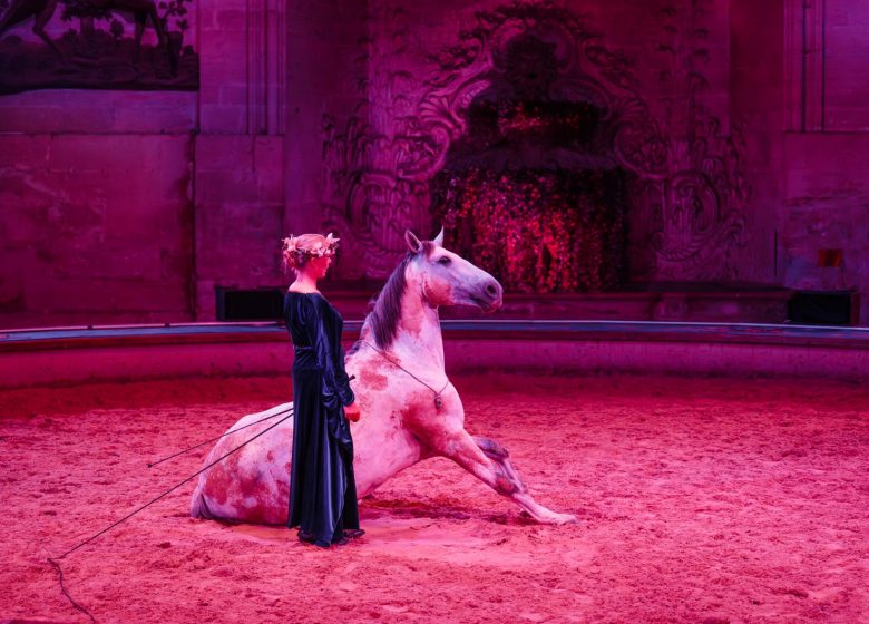 Spectacle équestre : " Kalendae " au château de Chantilly