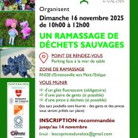 Ramassage de déchets sauvages