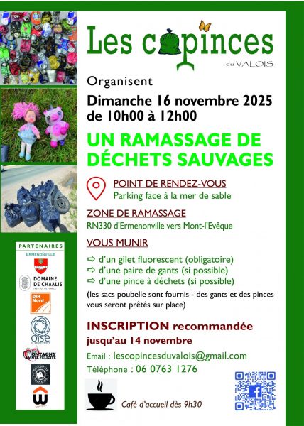 Ramassage de déchets sauvages