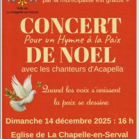 CONCERT DE NOEL « Hymne à la Paix »