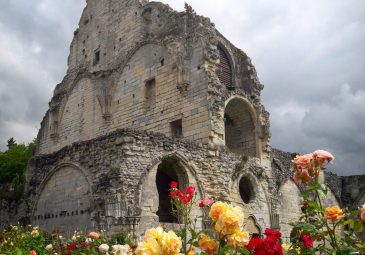 Parc et roseraie du Domaine de Chaalis