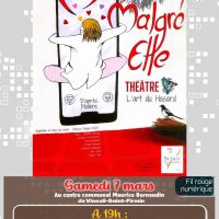 Spectacle « Médecin malgré elle » au centre communal Maurice Bernaudin de Vineuil-Saint-Firmin