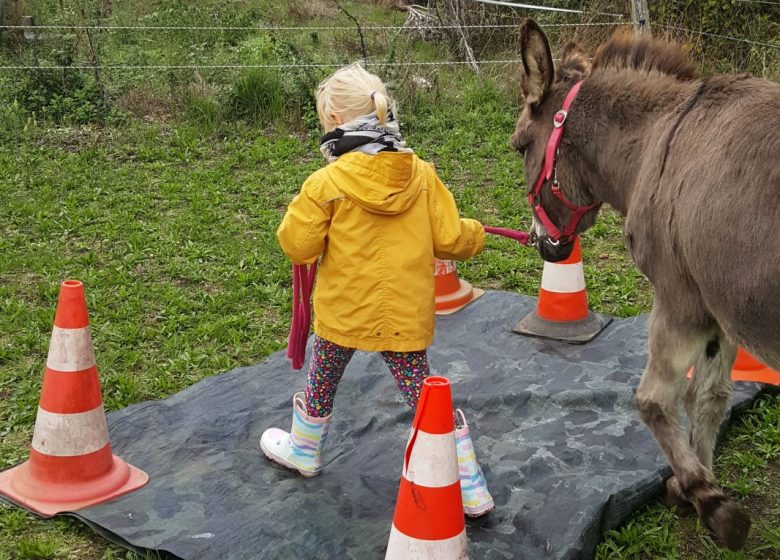 Atelier découverte de l’âne à Chantilly