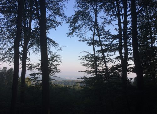 Annie Ocana, nature and heritage discovery guide