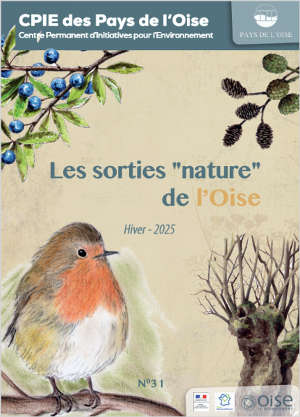 Grenouilles et crapauds vous donnent rendez-vous aux étangs, en forêt de Chantilly