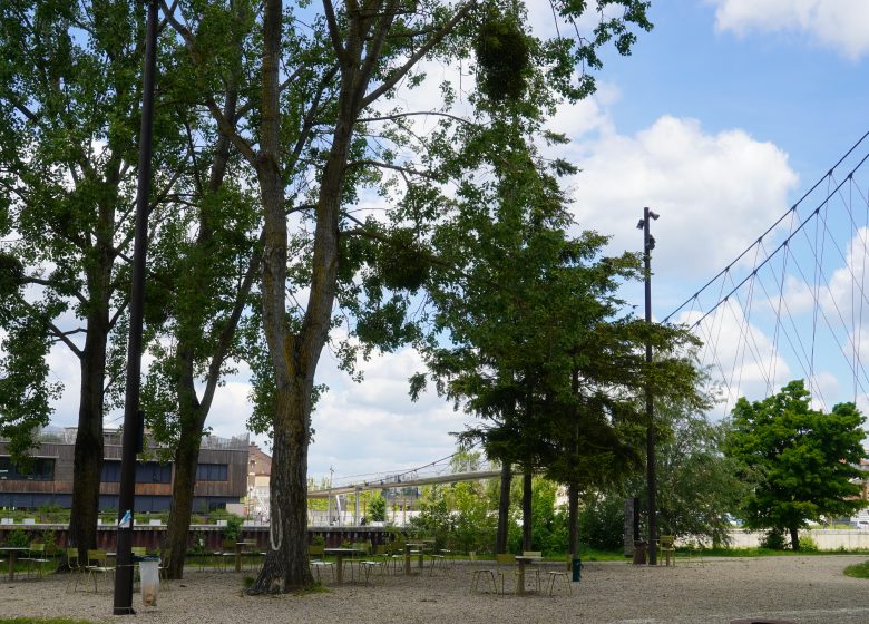 Parc de l'île Saint-Maurice