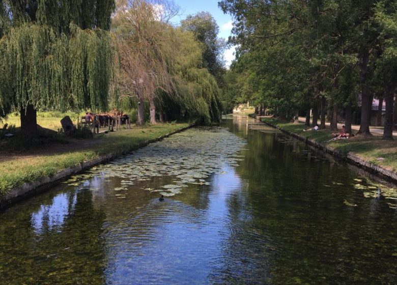 Parcours Le Long des Canaux de Chantilly