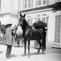 Exposition « Rosa Bonheur et le cheval » au Château de Chantilly