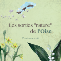 Sortie botanique au Mont Pô en Forêt d&rsquo;Halatte