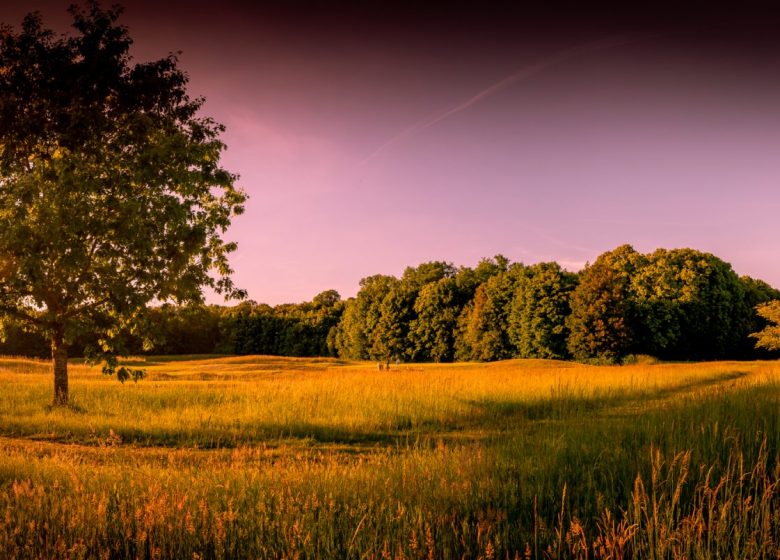 NGF Golf de Raray – Esclusivo Golf Château de Raray