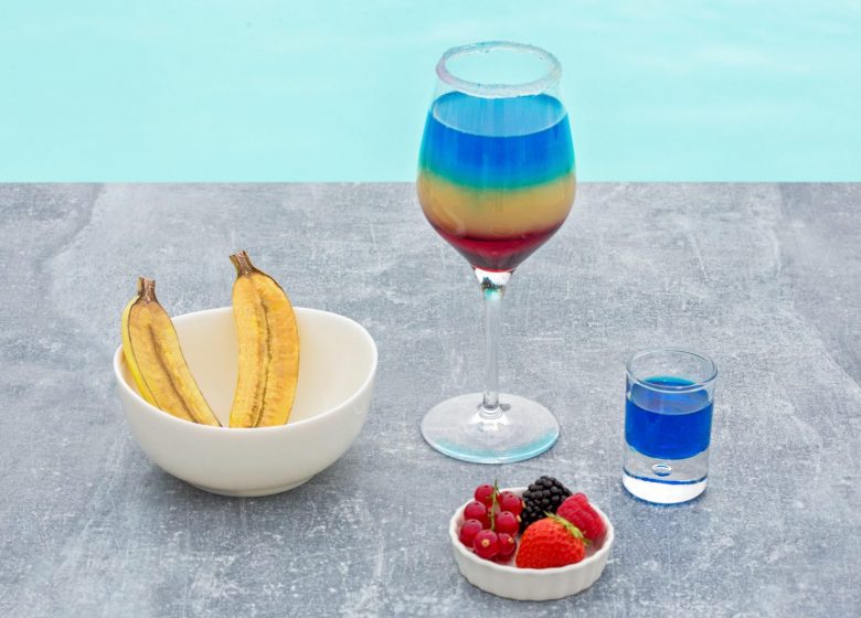 Bar à Gin – Bar Piscine Mercure Chantilly