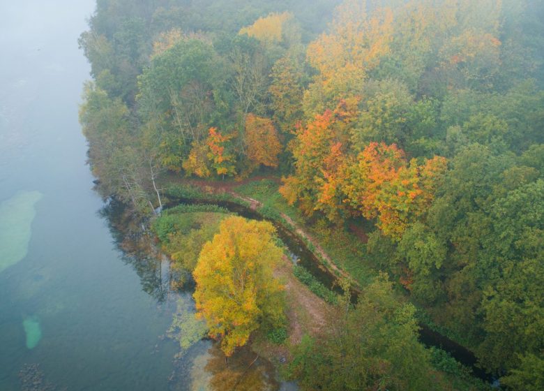 Marais de Chantraine