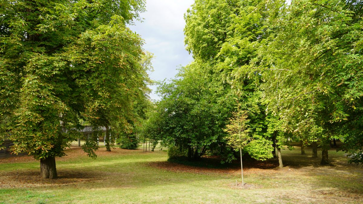 Park of the Château de Chantilly - Chantilly Senlis Tourism