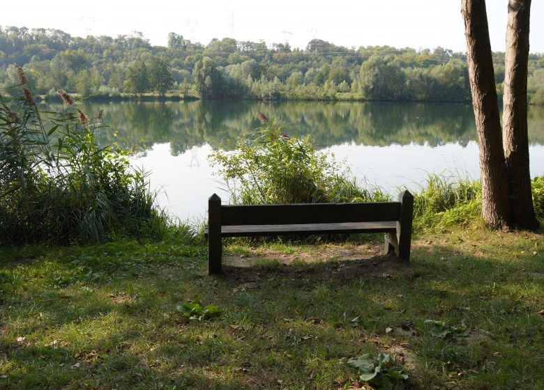 Parc urbain du prieuré