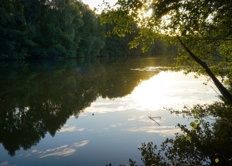 Etang de Thiverny