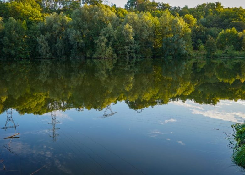 Etang de Thiverny