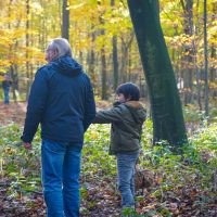 Escursione micologica nella foresta di Halatte