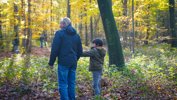 Mycologische ontdekking in het bos van Halatte