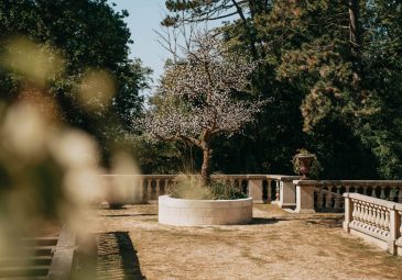 Château Jeanne & the Forest