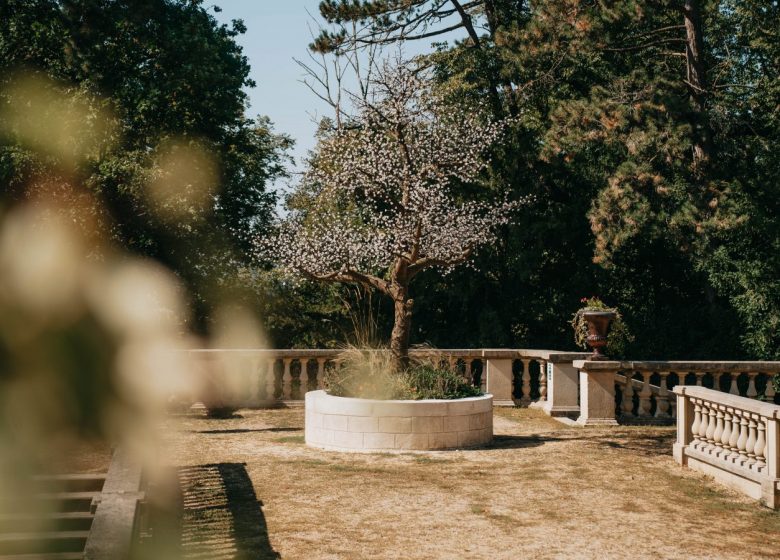 Château Jeanne & the Forest