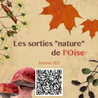 Atelier Plantation d’arbres fruitiers palissés à Gouvieux