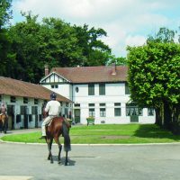 Rondleiding "De renstallen en de geheimen van de paardentraining in Chantilly"