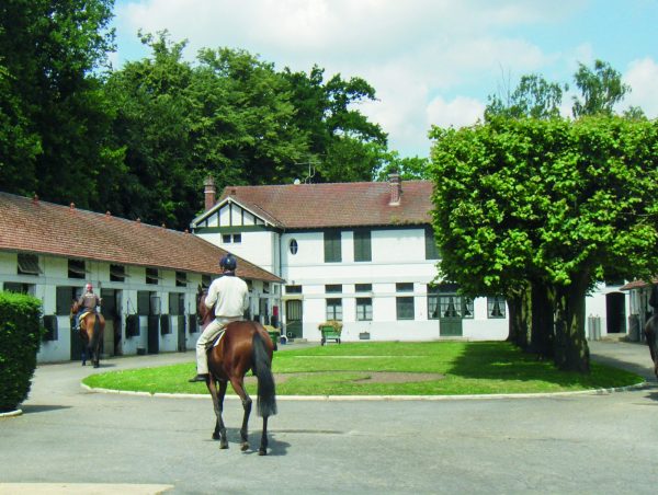 Visite guidée « Les écuries de course et les secrets de l'entraînement hippique à Chantilly »