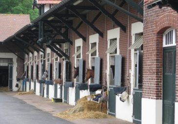 Visite privée à l&rsquo;entraînement des chevaux de course de Chantilly