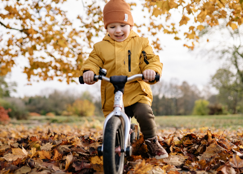 Les folles aventures de Louison Pignon – La petite Reine des Bois