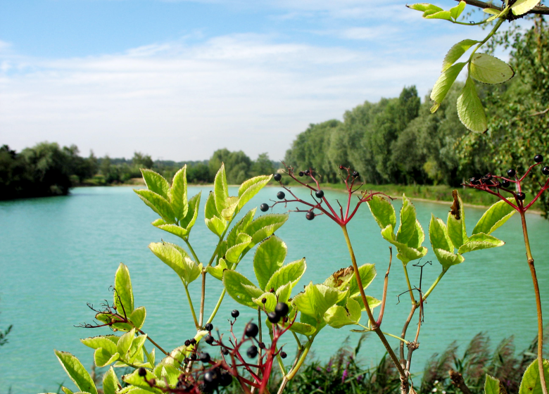 Etang Sainte-Barbe