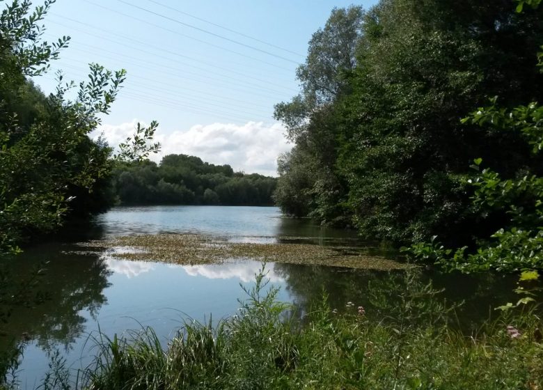 Etang de Thiverny