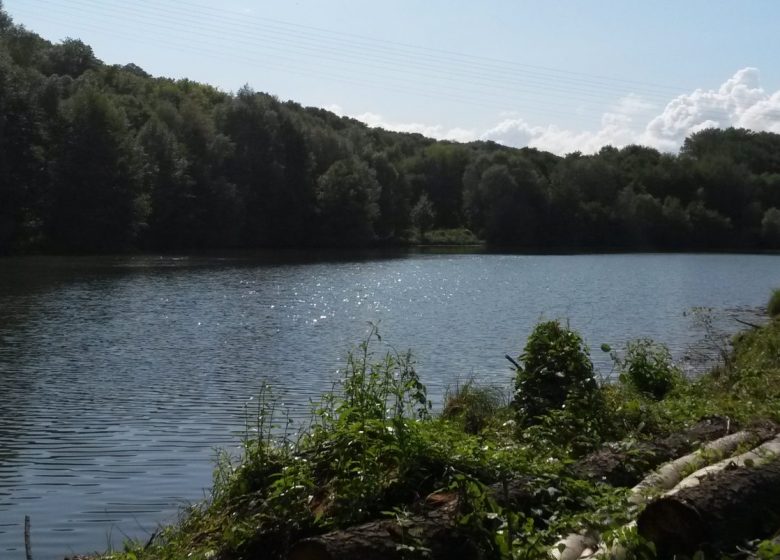 Etang de Thiverny