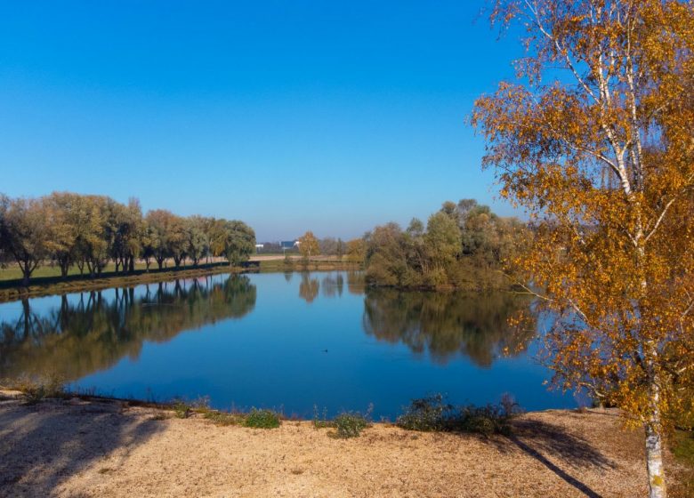 Etang Sainte-Barbe