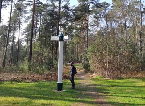 Randonnée historique en forêt de Chantilly