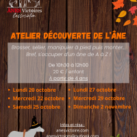 Ezelontdekkingsworkshop in Chantilly