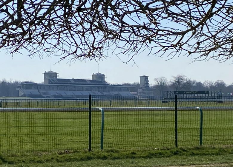 Besichtigung von Chantilly - Führer interprète