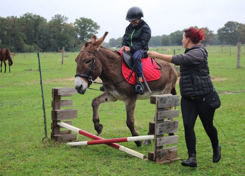 Atelier découverte de l’âne à Chantilly