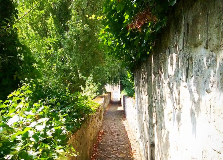 Fortifications médiévales