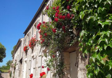 Ruelles médiévales