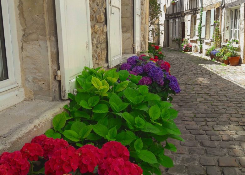 Ruelle Medievales