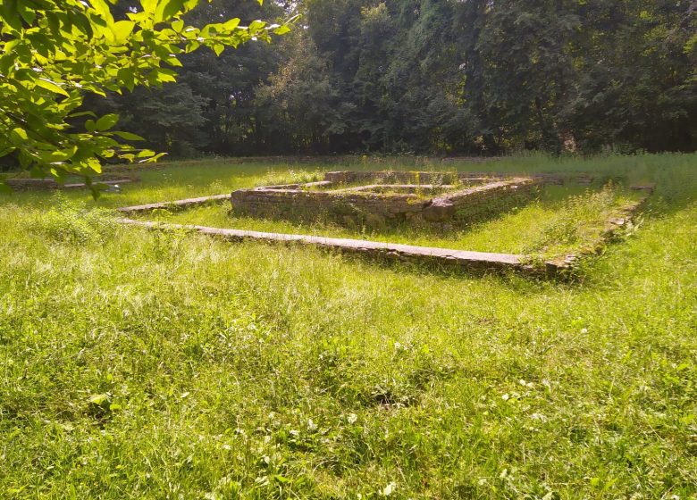 Randonnée bivouac en forêt d’Halatte