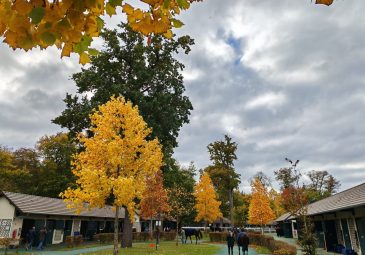 Parcours en ville à Chantilly