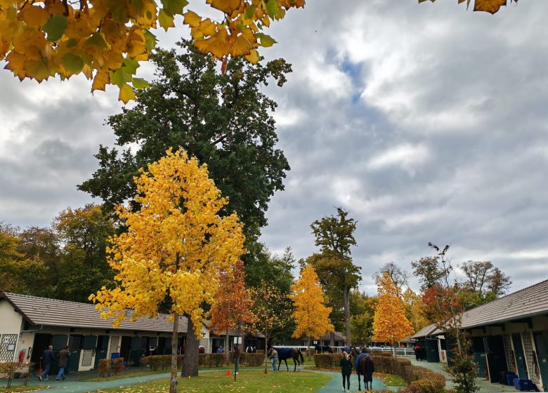 Parcours en ville à Chantilly
