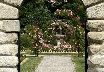 Parc et roseraie du Domaine de Chaalis