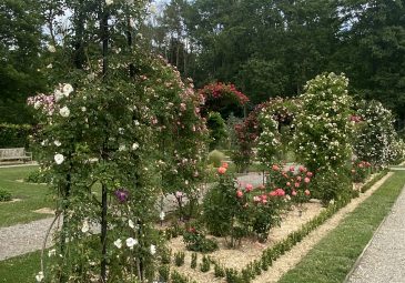 Parc et roseraie du Domaine de Chaalis