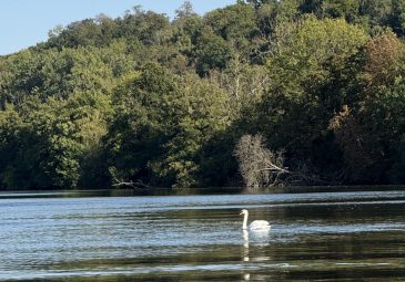 JP Racing -Promenades en bateaux sur l&rsquo;Oise
