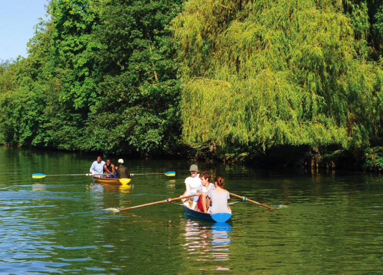 Club d'aviron (Étoile Nautique de l'Oise)